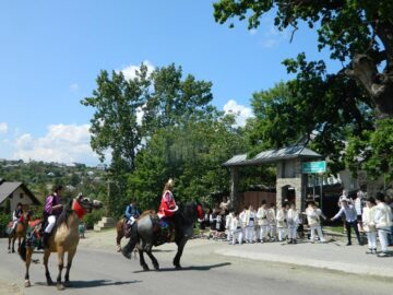 Simpozionul „Arborii ocrotiți, simbol al vitalității, diversității și frumuseții”, la Cajvana