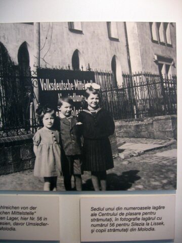 Hitler i-a chemat acasă și sovieticii i-au trimis în Siberia. Povestea neromanțată a etnicilor germani din perioada celui de-al Doilea Război Mondial
