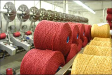 „1.000 kg fire peste plan”