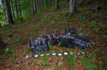 Țigările găsite de polițiștii de frontieră