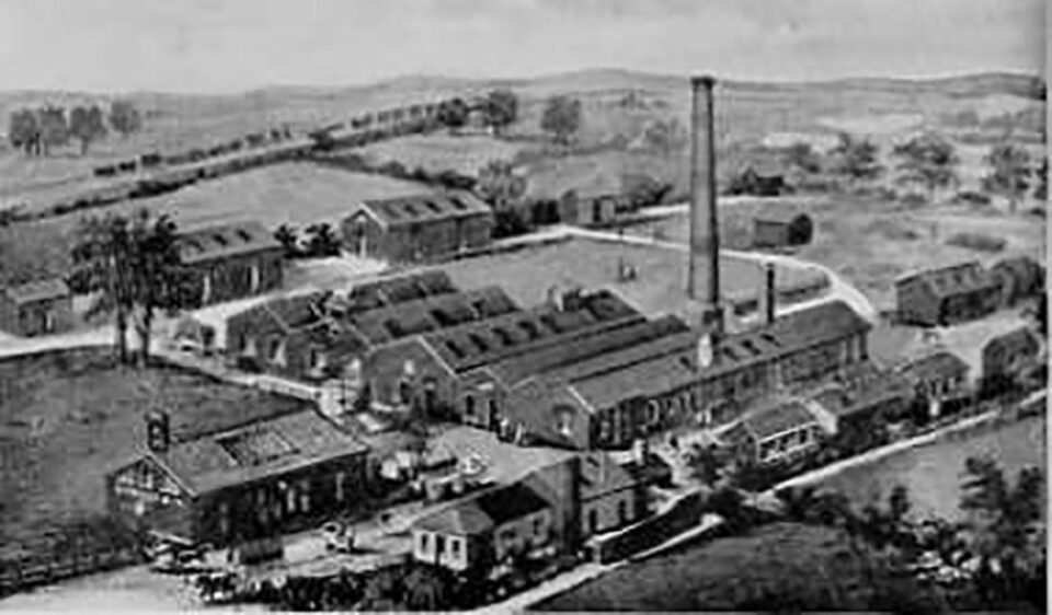 „Dimineți la Falcău” „Dimineți la Falcău”