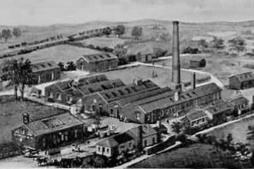 „Dimineți la Falcău”