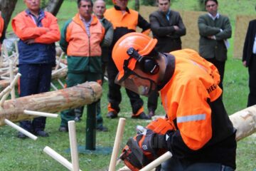 Concursul „Cel mai bun fasonator mecanic” Concursul „Cel mai bun fasonator mecanic”