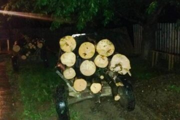 Căruțele oprite de jandarmi