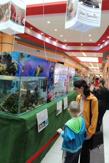 Expoziție acvatică cu prădători de temut și creaturi exotice, la Shopping City Suceava