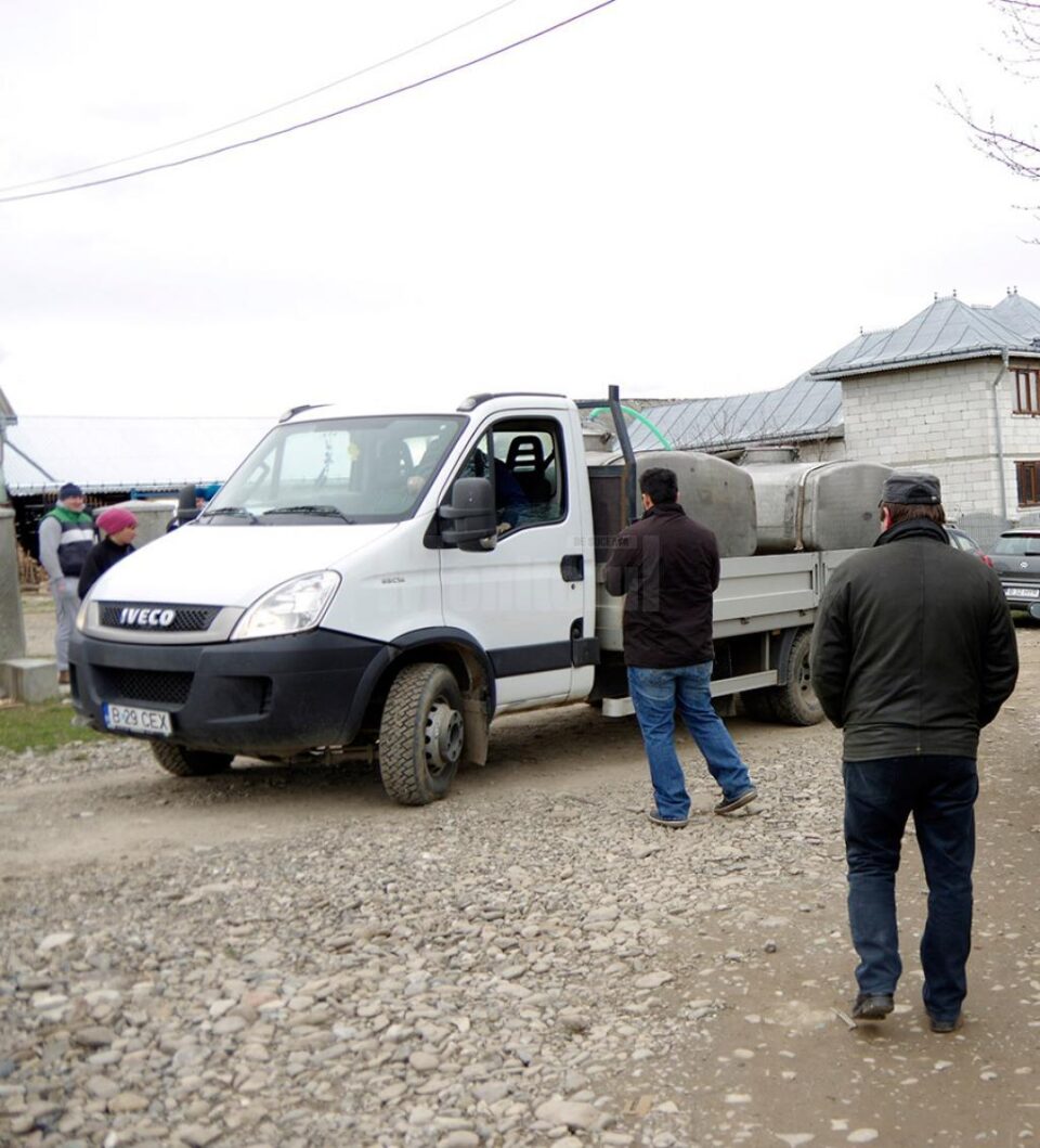 LACTALPINA SRL Vadu Moldovei a colectat cantități mari de lapte și a rămas cu datorii neachitate de ani de zile față de fermieri