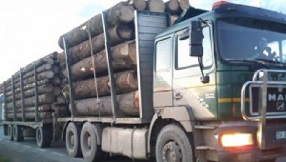 40 de metri cubi de lemn au fost confiscați în urma acțiunilor de control