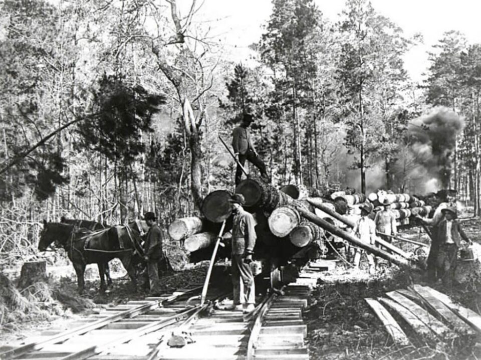 „Brigada forestieră” „Brigada forestieră”