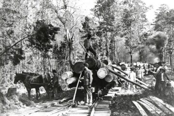 „Brigada forestieră”