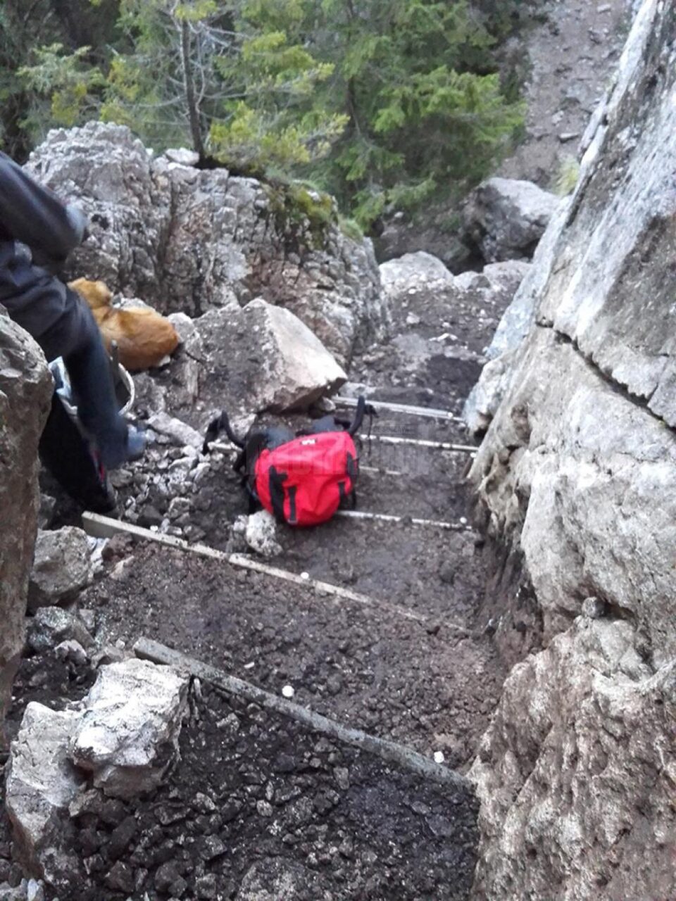 Circuitul turistic din zona Pietrele Doamnei, amenajat de reprezentanții Serviciului Salvamont Suceava