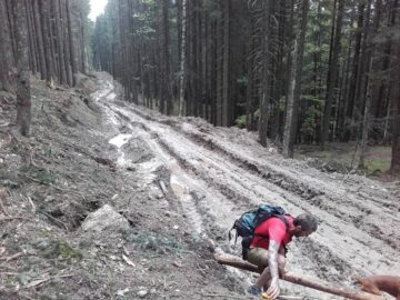 Așa arată un traseu turistic în Bucovina anului 2016