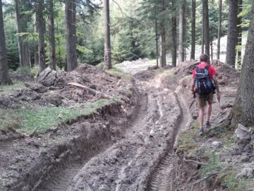 Așa arată un traseu turistic în Bucovina anului 2016