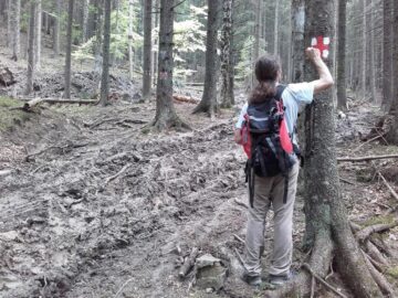 Așa arată un traseu turistic în Bucovina anului 2016