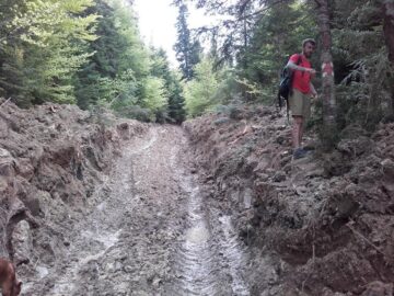 Așa arată un traseu turistic în Bucovina anului 2016