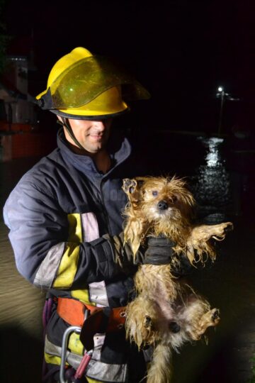 Intervenție în plină noapte