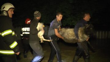 Ploile au făcut ravagii în județ