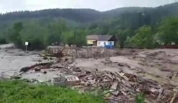 Ploile au făcut ravagii în județ
