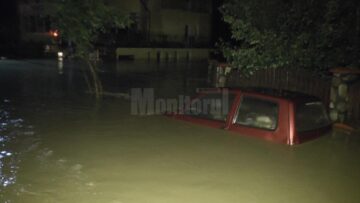 Ploile au făcut ravagii în județ