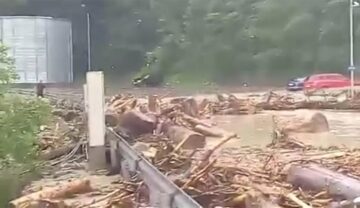 Ploile au făcut ravagii în județ