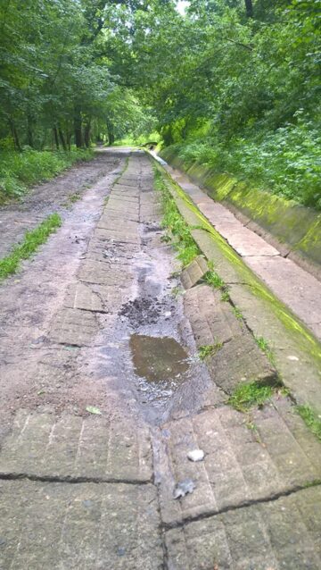 Șipote, parcul rușinii Sucevei