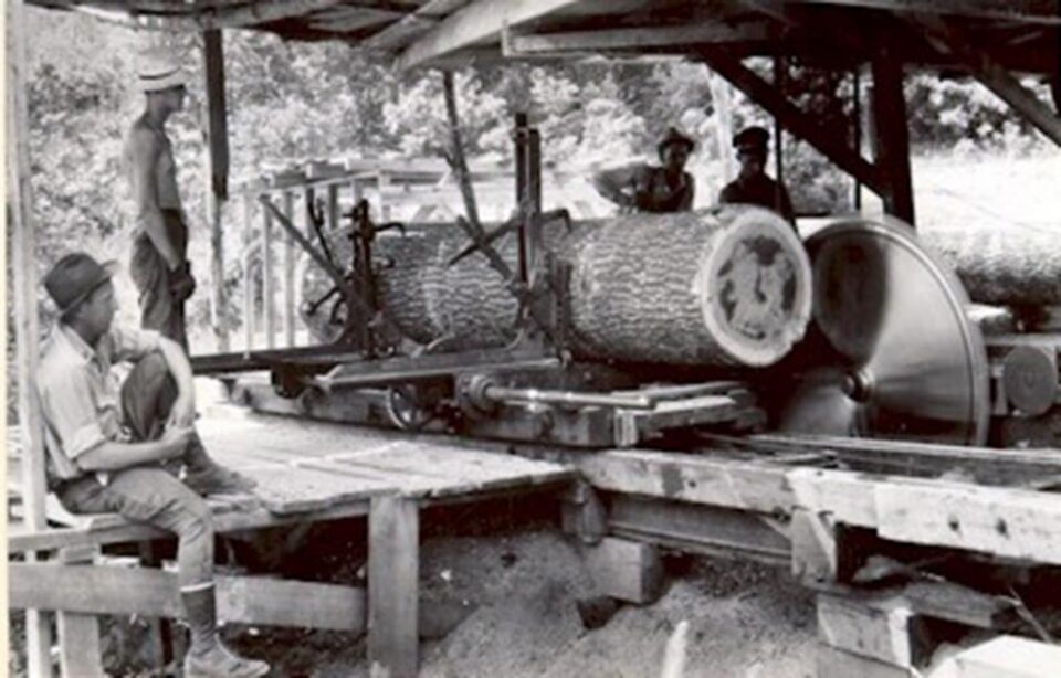 „Combinatul forestier din Fălticeni” „Combinatul forestier din Fălticeni”