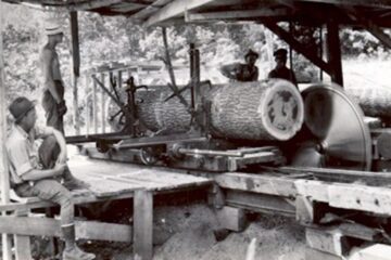 „Combinatul forestier din Fălticeni”