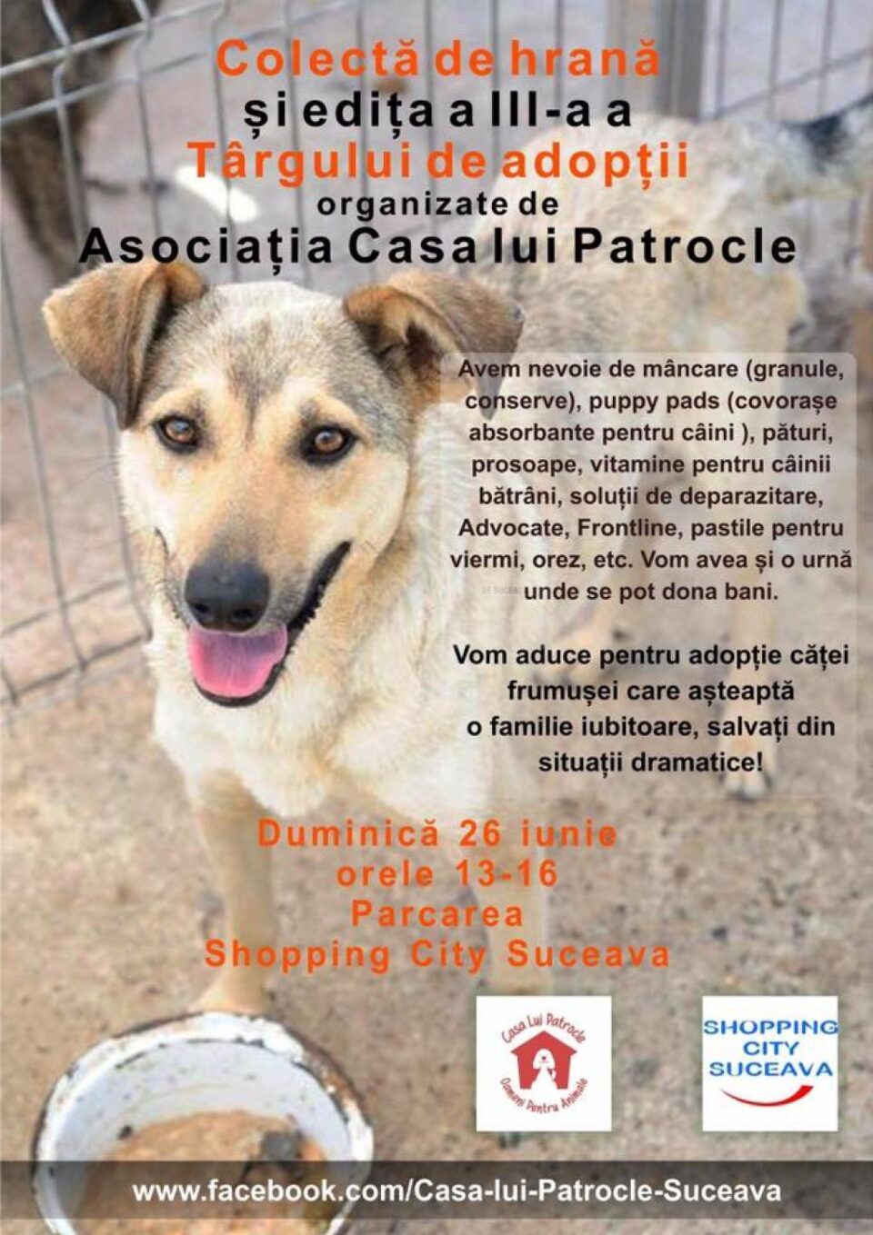 Colectă de hrană și târg de adopții de căței, duminică, în parcarea Shopping City Suceava Colectă de hrană și târg de adopții de căței, duminică, în parcarea Shopping City Suceava