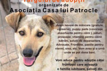 Colectă de hrană și târg de adopții de căței, duminică, în parcarea Shopping City Suceava