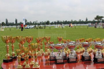 Spectacol ecvestru: cai de rasă, sărituri la obstacole și atelaje trase de cai, la Rădăuți