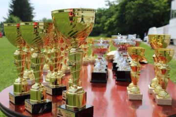 Spectacol ecvestru: cai de rasă, sărituri la obstacole și atelaje trase de cai, la Rădăuți