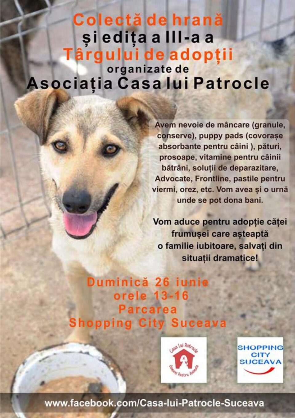 Colectă de hrană și târg de adopții de căței, duminică, în parcarea Shopping City Suceava Colectă de hrană și târg de adopții de căței, duminică, în parcarea Shopping City Suceava