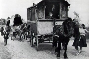 „Țiganii din Bucovina”