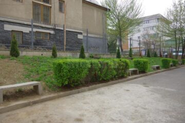Cum arăta zona în urmă cu doar câteva luni