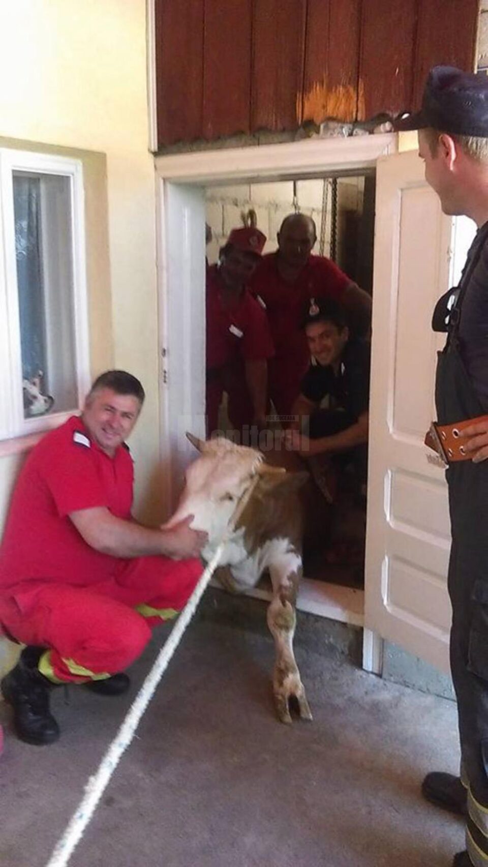 Pompierii, bucuroși că au putut salva vițica