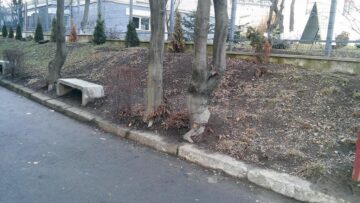 Cum arăta zona în urmă cu doar câteva luni
