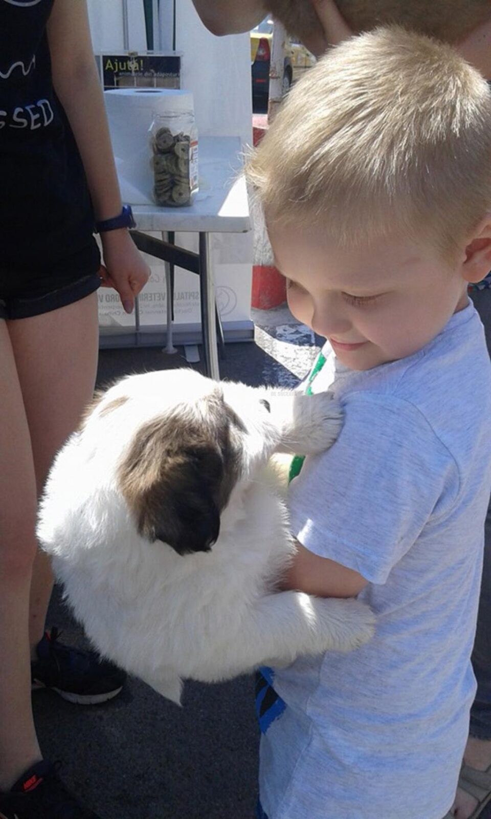 Cățeluși care au găsit o familie la cea de-a treia ediția a târgului de adopții