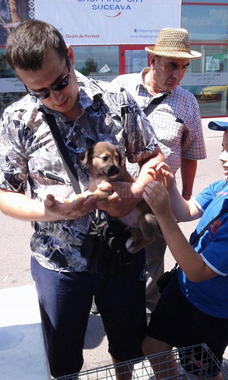 Cățeluși care au găsit o familie la cea de-a treia ediția a târgului de adopții