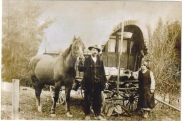 „Țiganii din Bucovina”