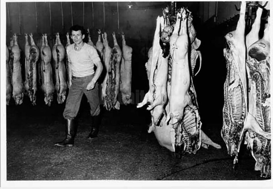 „Abatorul Burdujeni” „Abatorul Burdujeni”