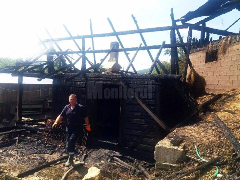 Focul a distrus în totalitate adăpostul de animale, incendiul pornind de la un cablu neizolat Focul a distrus în totalitate adăpostul de animale, incendiul pornind de la un cablu neizolat