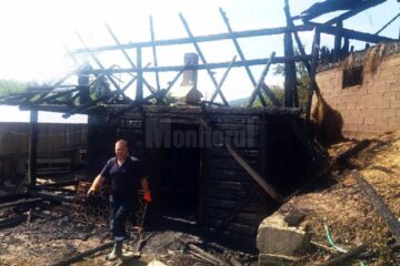 Focul a distrus în totalitate adăpostul de animale, incendiul pornind de la un cablu neizolat