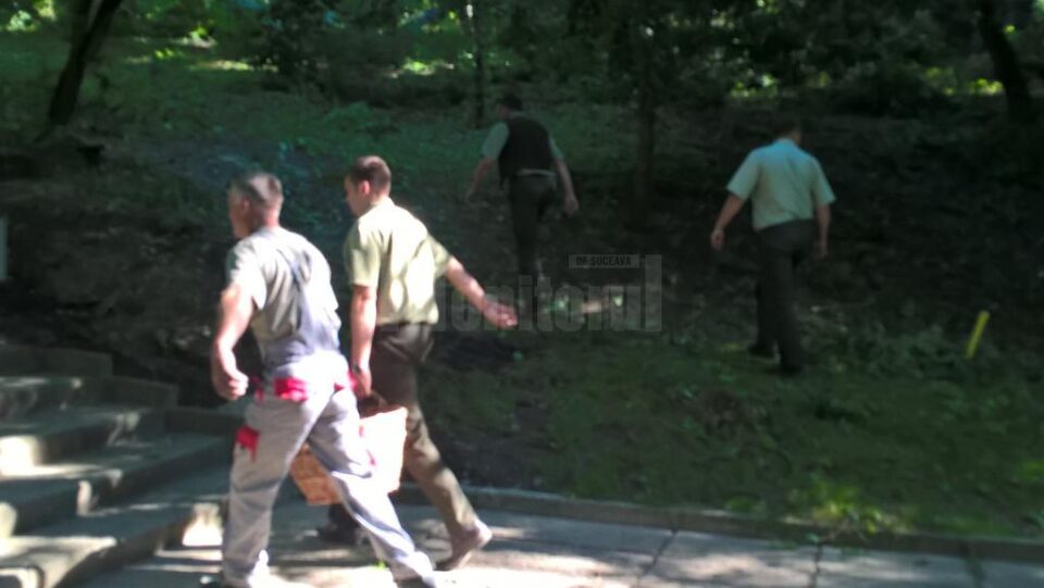 Acțiune de igienizare în Parcul Șipote, făcută de Direcția Silvică, Primăria Suceava și ISU Suceava
