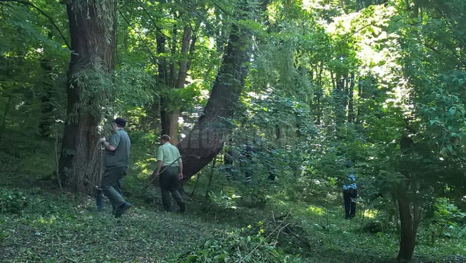 Acțiune de igienizare în parcul Șipote, făcută de Direcția Silvică, Primăria Suceava și Inspectoratul pentru Situații de Urgență Suceava