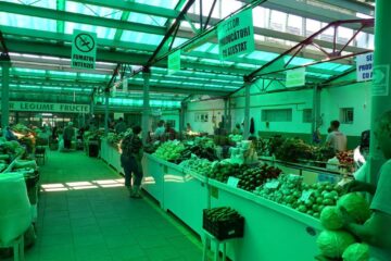 Raionul de zarzavaturi din Piața Mare