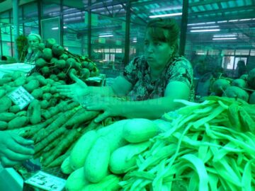 Cupola verde care distorsionează culoarea legumelor în Piața Centrală a Sucevei va fi schimbată