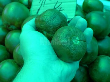 Cupola verde care distorsionează culoarea legumelor în Piața Centrală a Sucevei va fi schimbată