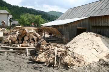 Doi afaceriști cu lemn, trimiși în judecată pentru evaziune și spălare de bani