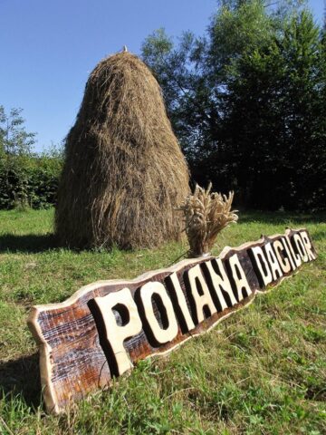 Tabăra din „Poiana Dacilor”