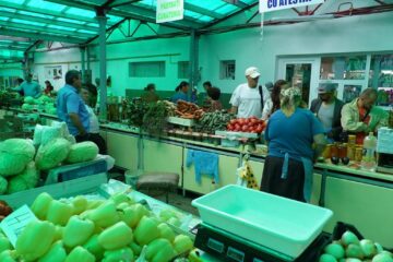 Controalele la producătorii cu atestat au scos la iveală mai puține nereguli