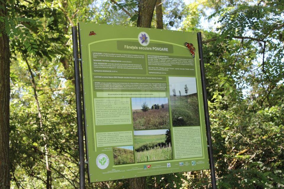 Ariile protejate de la Frumoasa și Ponoare își spun povestea